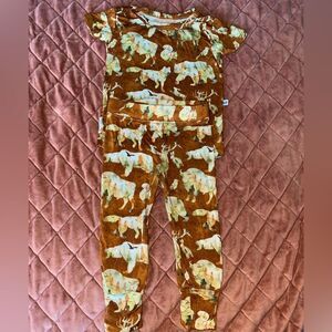 Brooke & Peyton 2pc bamboo pajama set rust orange color with woodland animals
